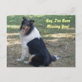 Ik mis je, Collie! Briefkaart