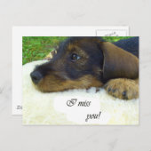 Ik mis je, Cute Dachshund Briefkaart (Voorkant / Achterkant)