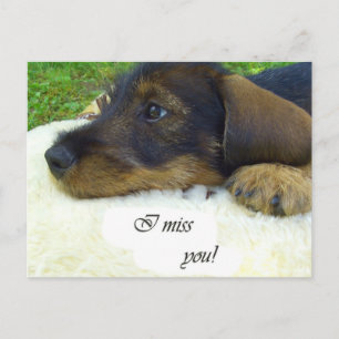 Ik mis je, Cute Dachshund Briefkaart
