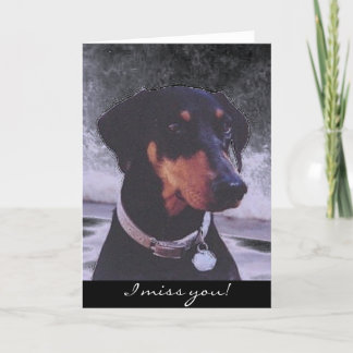 Ik mis je!  doberman-kaart kaart
