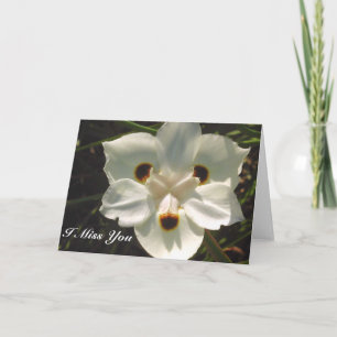 Ik mis je/elke keer dat er een Kaart is