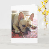 IK MIS JE! FRANSE BULLDOG KAART (Gele Bloem)