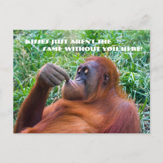 Ik mis je Funny Orangutan Briefkaart