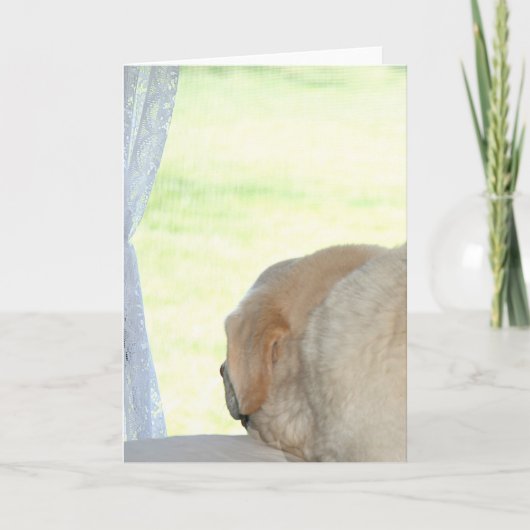 Ik mis je gele lab kaart (Voorkant)