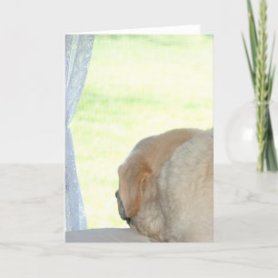 Ik mis je gele lab kaart