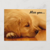 Ik mis je! Golden Retriever Puppy Briefkaart (Voorkant)