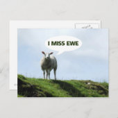 Ik mis je grappige schapen briefkaart (Voorkant / Achterkant)