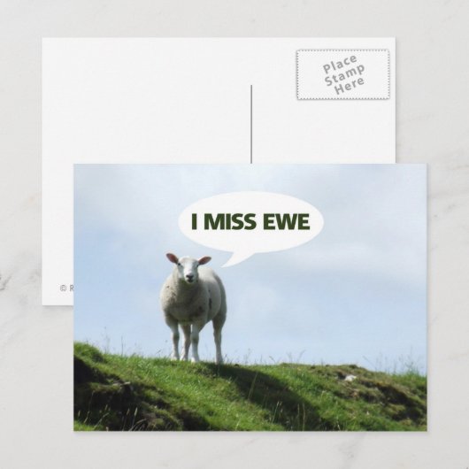 Ik mis je grappige schapen briefkaart (Voorkant / Achterkant)