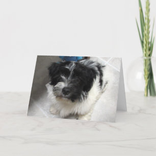 Ik mis je - Havanezer Puppy Kaart