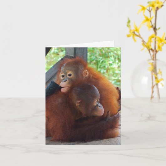 Ik mis je kaart (Gele Bloem)