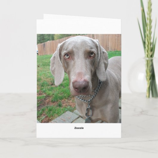 Ik mis je kaart (Achterkant)