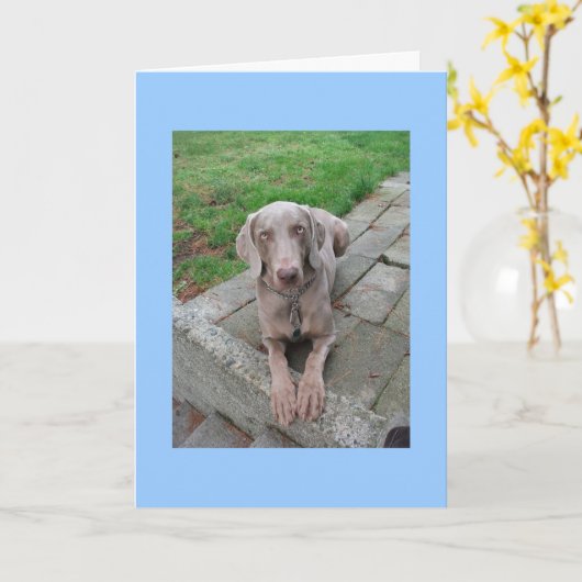 Ik mis je kaart (Gele Bloem)