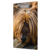 Ik mis je klembord (Links)