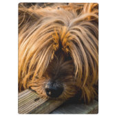 Ik mis je klembord (Achterkant)