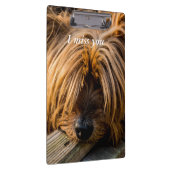 Ik mis je klembord (Rechts)