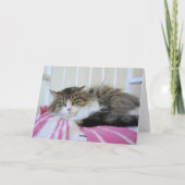 Ik mis je, Maine Coon Cat Kaart (Achterkant)