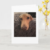 Ik mis je MillieGram Kaart (Gele Bloem)