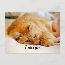 Ik mis je, Oranje Maine Coon Cat. Briefkaart