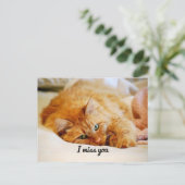 Ik mis je, Oranje Maine Coon Cat. Briefkaart (Staand voorkant)