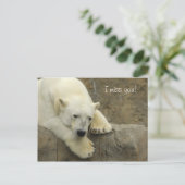 Ik mis je - Polar Beer Briefkaart (Staand voorkant)