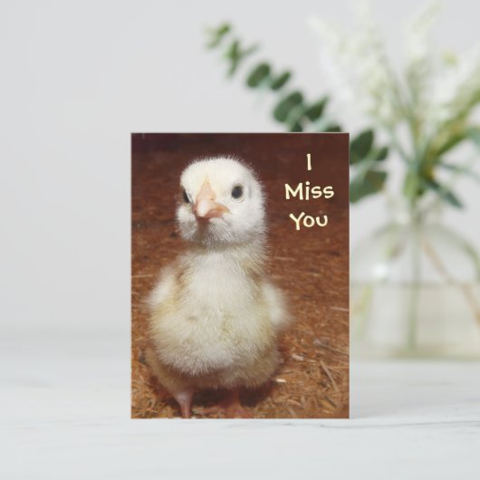 Ik mis je! Sad Baby Chick Briefkaart (Staand voorkant)