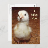 Ik mis je! Sad Baby Chick Briefkaart (Voorkant / Achterkant)