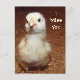 Ik mis je! Sad Baby Chick Briefkaart