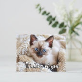 Ik Mis Je - Schattige Siamese Kat Briefkaart (Staand voorkant)