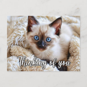 Ik Mis Je - Schattige Siamese Kat Briefkaart