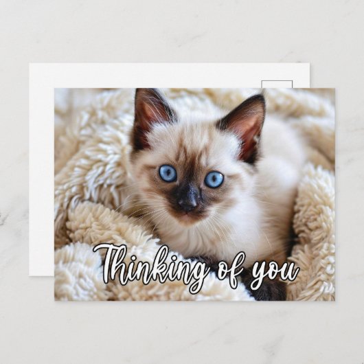 Ik mis je - Schattigee Siamese kat Briefkaart (Voorkant / Achterkant)