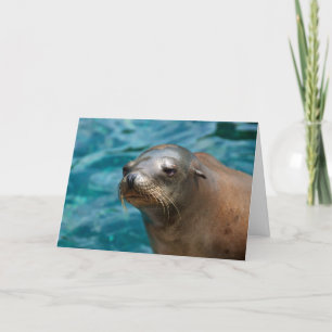 Ik mis je - Seal Wenskaart Kaart