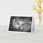 Ik mis je Wenskaart - B&W Kat Kaart (Gele Bloem)