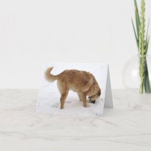 Ik mis je zo erg, ik gedraag me raar - Western Kaart