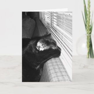 Ik mis je zwarte kat Kaart