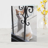 Ik Mis Jou Kat Kaart (Gele Bloem)