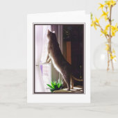 Ik mis u! kaart (Gele Bloem)