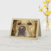 Ik mis u - Leuk Geel Labrador Kaart (Gele Bloem)