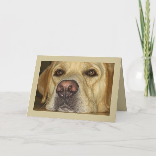 Ik mis u - Leuk Geel Labrador Kaart (Voorkant)