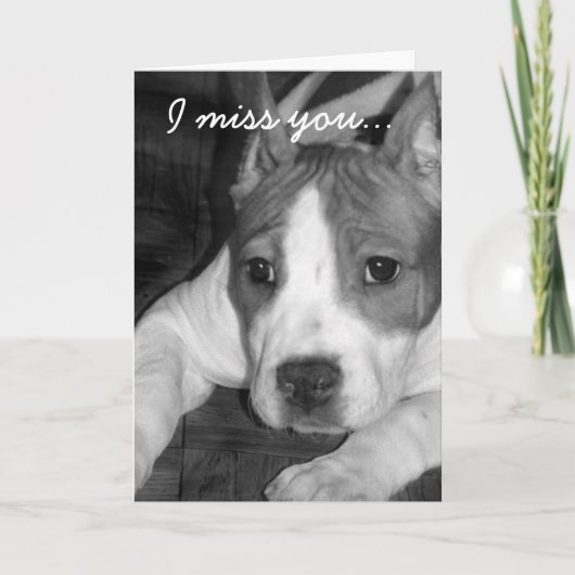 Ik mis u pitbull wenskaart kaart (Voorkant)