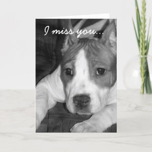 Ik mis u pitbull wenskaart kaart