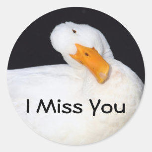 Ik Miss You, grappige eenden stickers