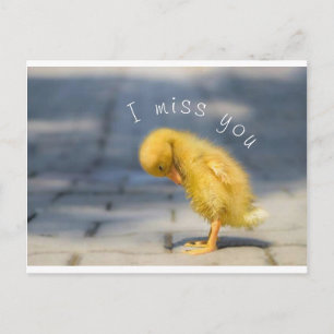 Ik Miss You Post Card Briefkaart