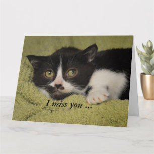 Ik Miss You, Shy Tuxedo Kitten Card Kaart