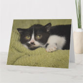 Ik Miss You, Shy Tuxedo Kitten Card Kaart (Achterkant)