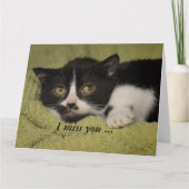 Ik Miss You, Shy Tuxedo Kitten Card Kaart (Voorkant)