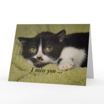 Ik Miss You, Shy Tuxedo Kitten Card