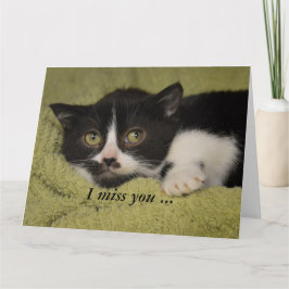 Ik Miss You, Shy Tuxedo Kitten Card Kaart