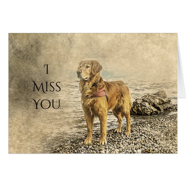 IK MIST DAT JE HOND HAD. (Voorkant Horizontaal)