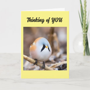 *IK MIST JE* WENS KON ZEGGEN IN PERSOON KAART