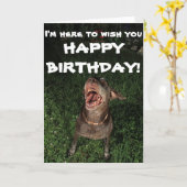 Ik moet hier u het GELUKKIGE Wenskaart van de Kaart (Gele Bloem)